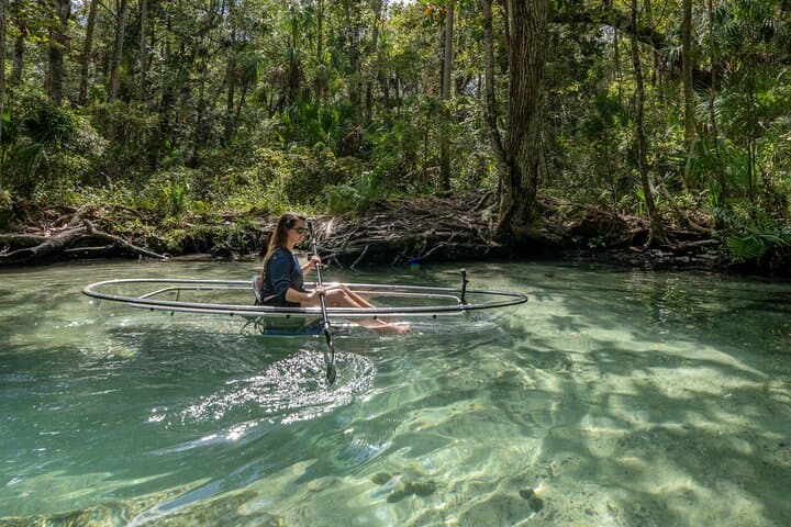 Chassahowitzka River Clear Kayak: Springs, Manatees & Hidden Creeks