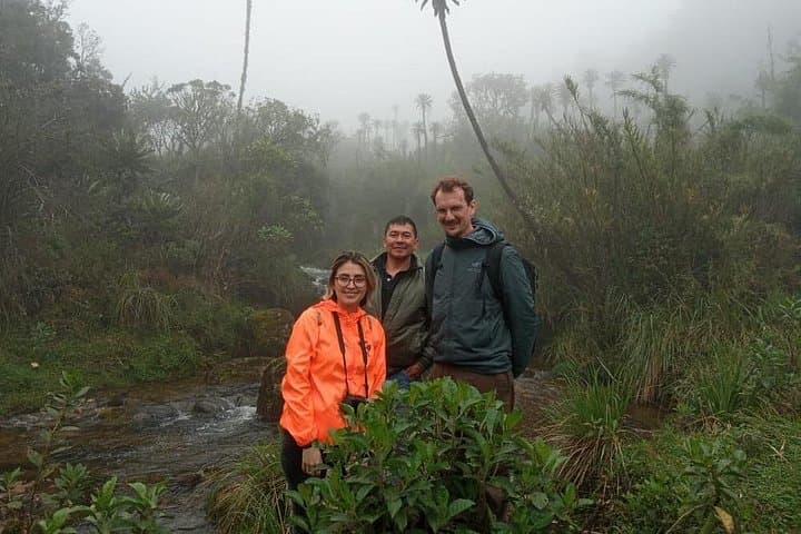 Chingaza National Park Eco-Tour from Bogotá: Páramo Trails & Spectacled Bears photo 6