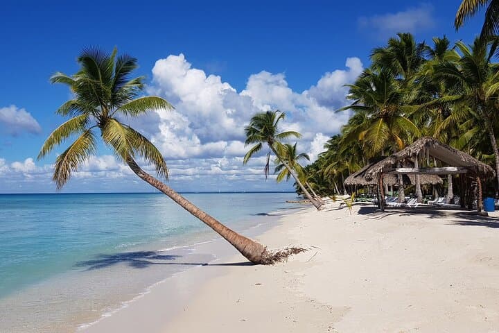 All-Day Saona Island Party: Catamaran Tour to Bayahibe & Natural Pool