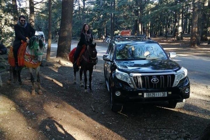 Fez to Merzouga Day Transfer: Atlas Mountains, Cedar Forests & Ziz Gorges photo 2