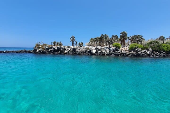 Santa Fe Island & Hidden Beach: Galápagos Day Tour with Snorkeling and Fishing photo 4