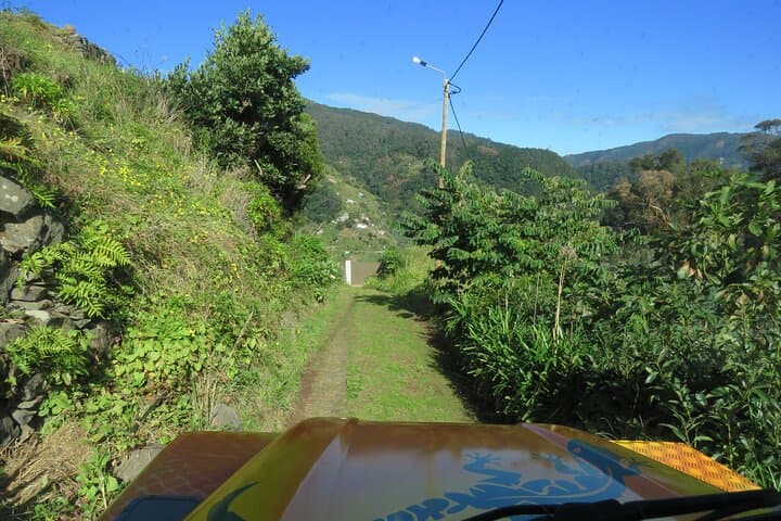 Madeira 4x4 Adventure: Santo da Serra Farmers Market & Cristo Rei Views photo 4