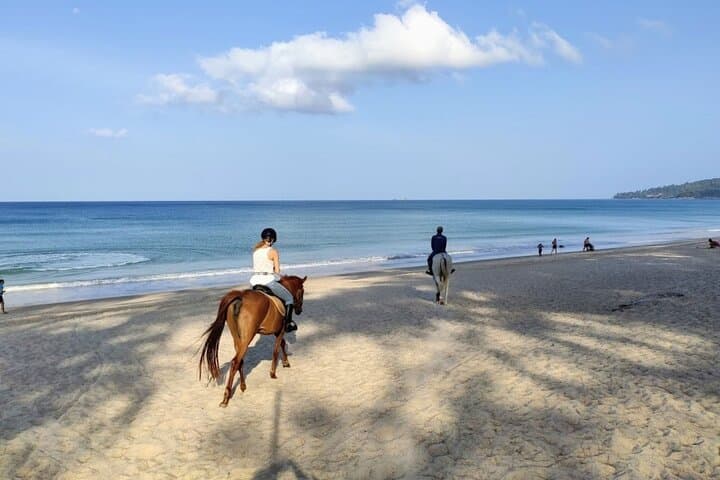Canter Kamala: Phuket Beach Horse Riding Adventure photo 5