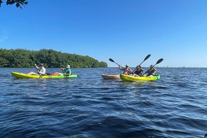Paddle Shell Key Preserve: Sunset Kayak Adventure from Tierra Verde photo 3