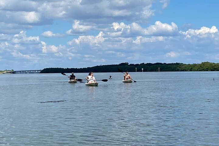 Paddle Shell Key Preserve: Sunset Kayak Adventure from Tierra Verde photo 6