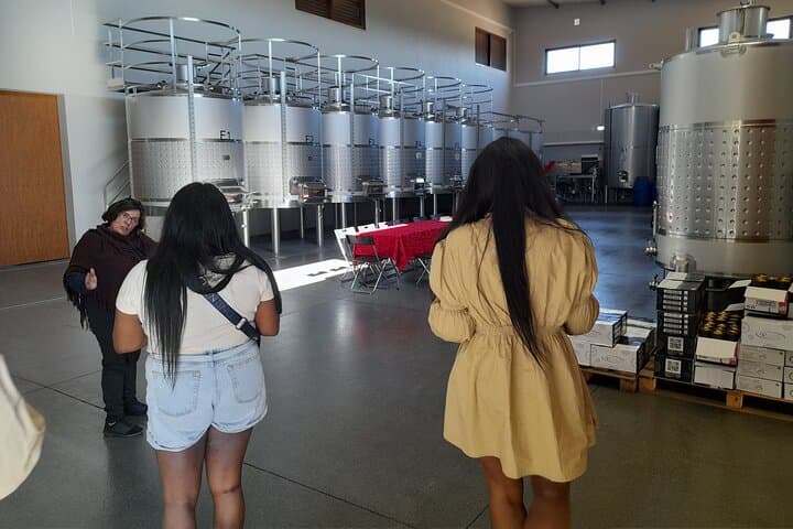 Algarve Coast & Wine Tasting Private Van Tour from Albufeira
