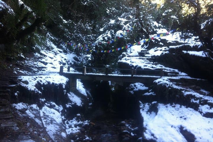 Ghorepani Poon Hill Trek: Sunrise Panorama & Rhododendron Trails in Annapurna photo 3