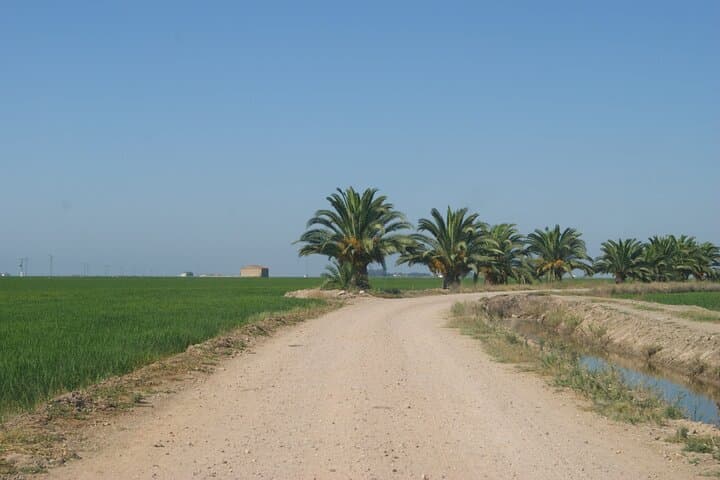 Self-Guided Bike Tour Around Doñana from Seville: Ride Marshes, Pines & Roman Ruins photo 5