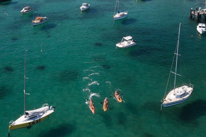 Paddle North Harbour: 4-Hour Double Kayak Hire from Manly photo 6