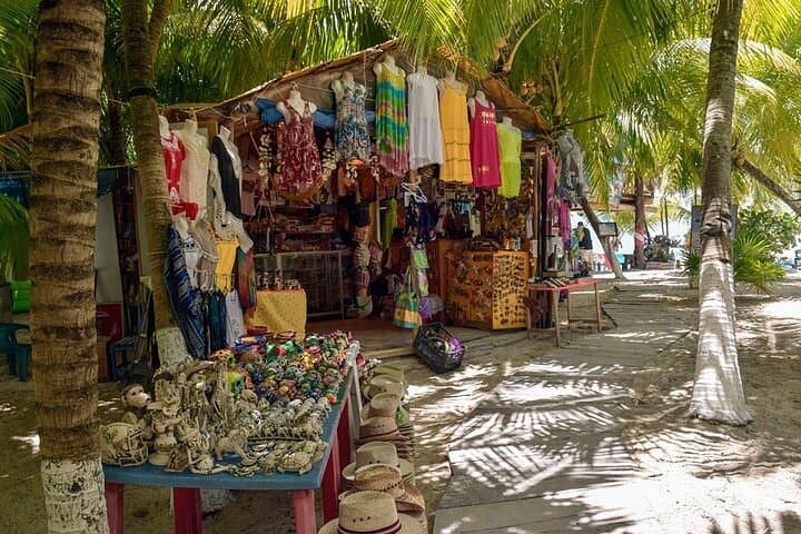 Private Cozumel Shore Excursion: San Gervasio, Tequila & Snorkel in 5 Hours photo 4