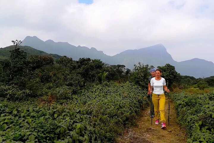 Knuckles Mountain Range: Full-Day Hike from Kandy to Knuckles Peak photo 3