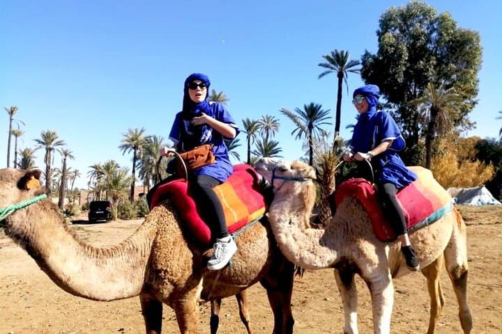 Half-Day Camel Ride in Palmeraie: Palm-Grove Caravan from Marrakech photo 4
