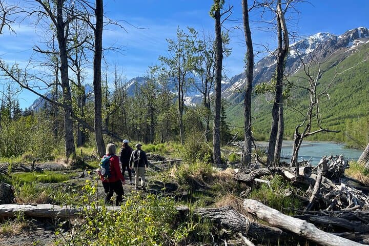Summer Valley & Barbara Falls Hike — Eagle River Trails in Chugach State Park photo 4