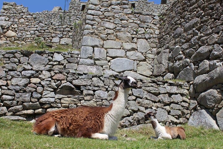 Early-Access Sacred Valley & Machu Picchu 2-Day Train Tour from Cusco photo 2