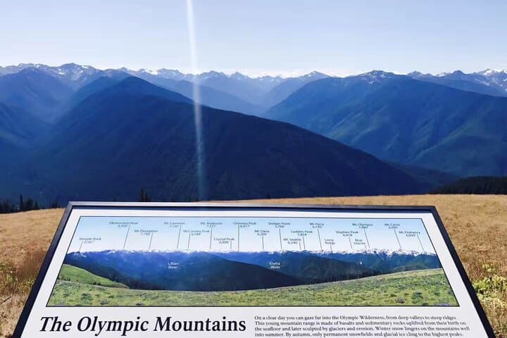 One-Day Olympic National Park from Seattle: Ferry, Hurricane Ridge & Lake Crescent photo 6