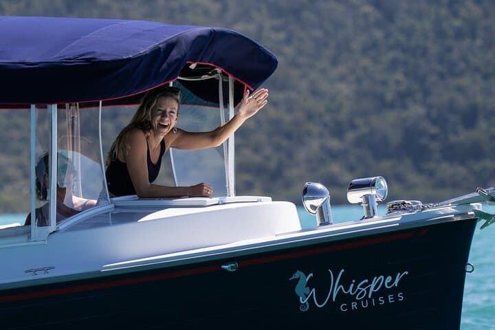 Electric Turtle-Spotting Bay Cruise — Airlie Beach Whisper-Quiet Eco Tour photo 3