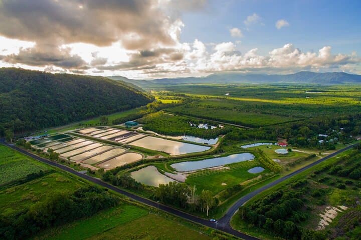 Hook-A-Barra: A Daintree Barramundi Farm Tour and Catch Experience photo 3