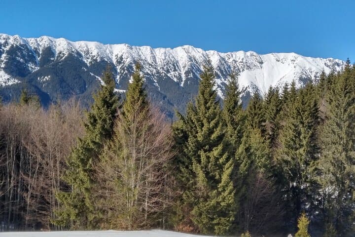 Rambling in Transylvania: Guided Village Walk from Brasov photo 6