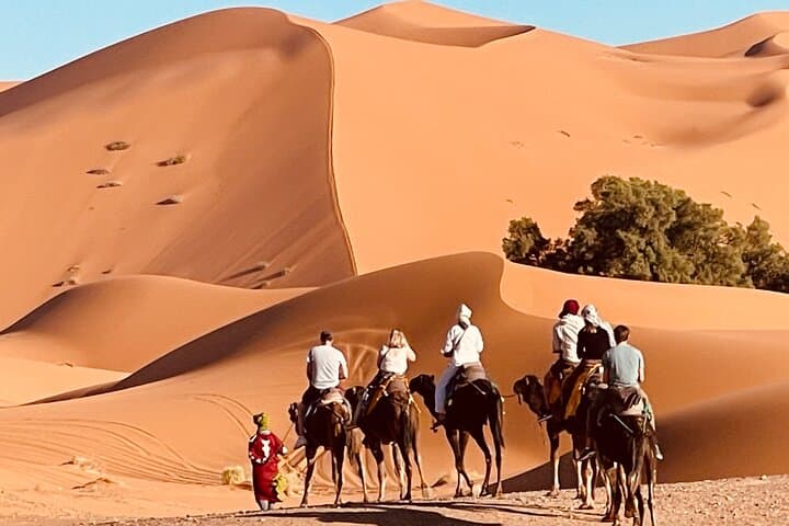 Overnight Camel Trekking and Desert Camp Experience at Erg Chebbi