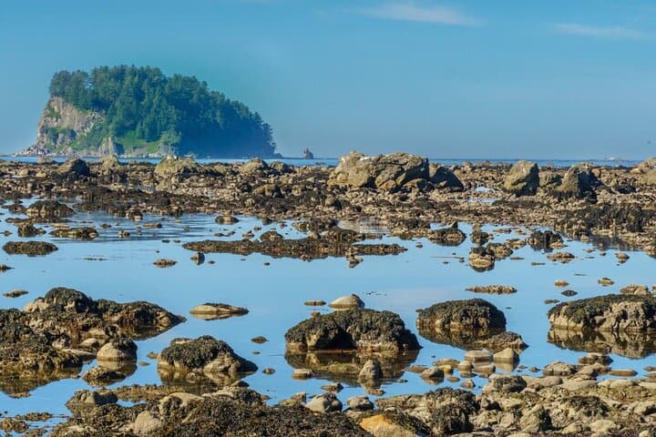 3-Day Ozette Coast Backpacking: Cape Alava to Ozette Lake