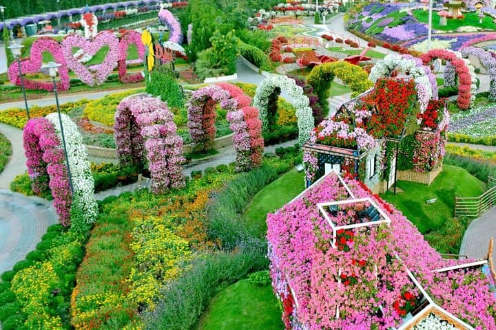 Dubai Miracle Garden Ticket & Transfer — Complete Visitor Guide photo 5