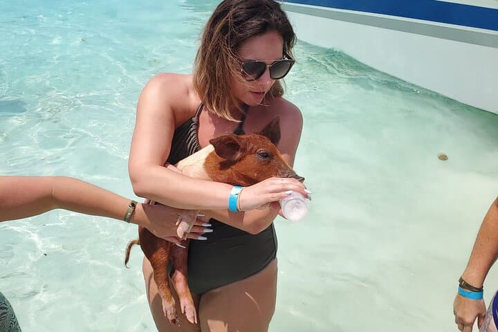 Fly to Exuma: Half-Day Swimming Pigs, Sharks & Staniel Cay by Plane photo 3