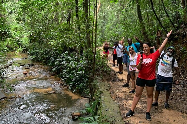 Tijuca Forest Hike: Waterfalls, Caves & Atlantic Rainforest Trails photo 2