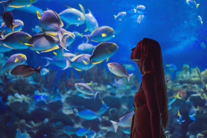 Dubai Mall Aquarium & Underwater Zoo — Skip-the-Line Tickets with Private Transfer photo 4