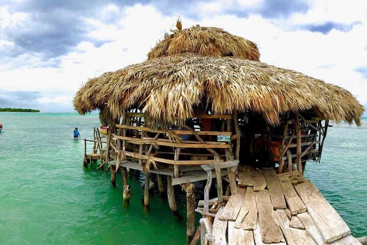 Discover Jamaica's Unique Charm: Pelican Bar & Rick's Cafe Tour photo 4