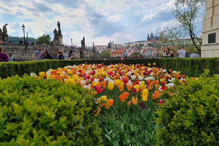 Prague in a Day: Private 5-Hour Guided Sightseeing Tour of Old Town and Castle photo 4