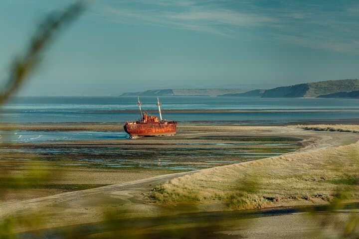 Visit the Desdemona Shipwreck: Full-Day Coastal Excursion from Ushuaia