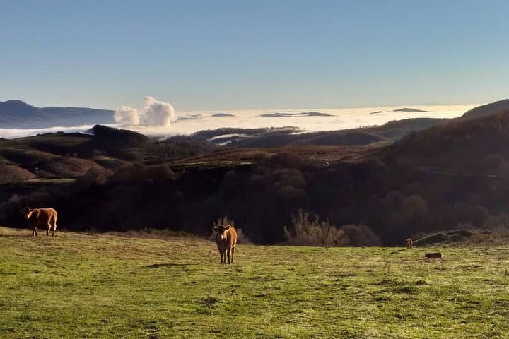 Monte Labro Horseback Ride: 2-Hour Private Trek with Maremma Views photo 2