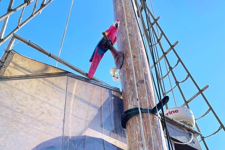 Pirate Cruise in Barcelona: Jolly Roger 75-Minute Coastal Adventure photo 4