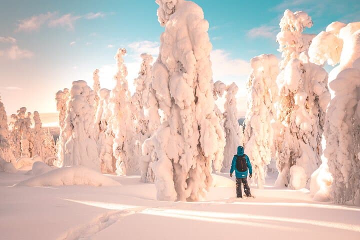 Lapland Winter Experience: Guided Snowshoe Hike from Rovaniemi photo 6