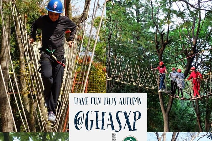 Tea Top Rope Course Above Palampur Tea Gardens photo 2