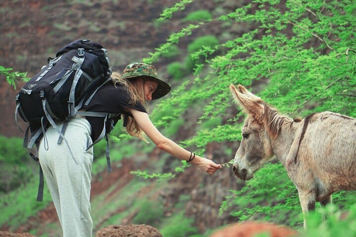 Calabaceira Valley Hike & Cidade Velha Guided Tour — 4-Hour Santiago Island Trek photo 4