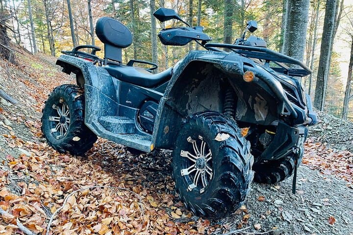 Full-Day ATV & Buggy Adventure in the Carpathians from Bucharest photo 4