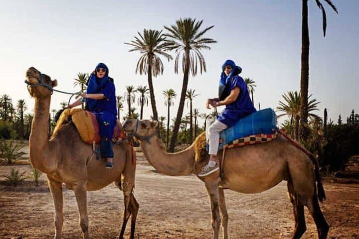 Sunset Camel Ride in Marrakech Palmeraie: Palm-Grove Sunset Trek photo 2
