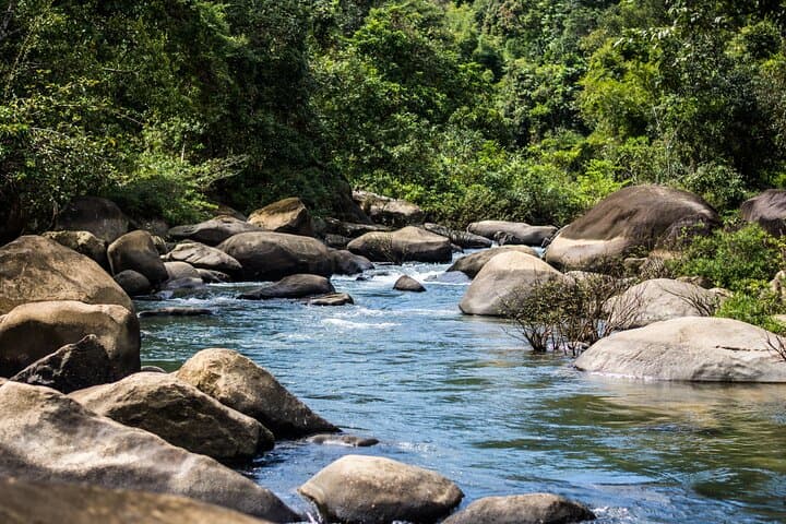 Khao Sok Rainforest Day Trip: Jungle Trek, Bamboo Rafting & River Swim photo 6