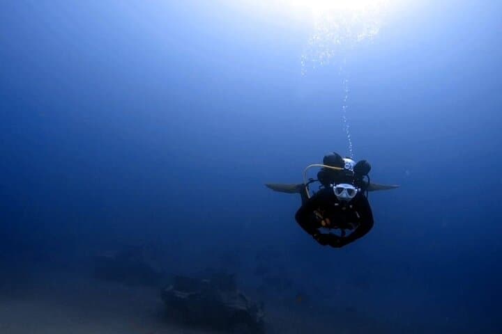 Aqaba Private Scuba Diving — Cedar Pride Wreck & Red Sea Coral Gardens photo 6