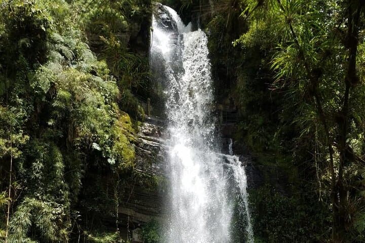 Full-Day Private Tour to La Chorrera Waterfall and El Chiflón — Hike Colombia’s Tallest Cascade