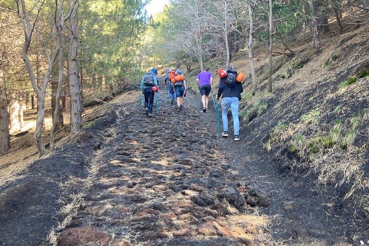 Half-Day Trekking on Etna: Valle del Bove Hike to 2,300m photo 2