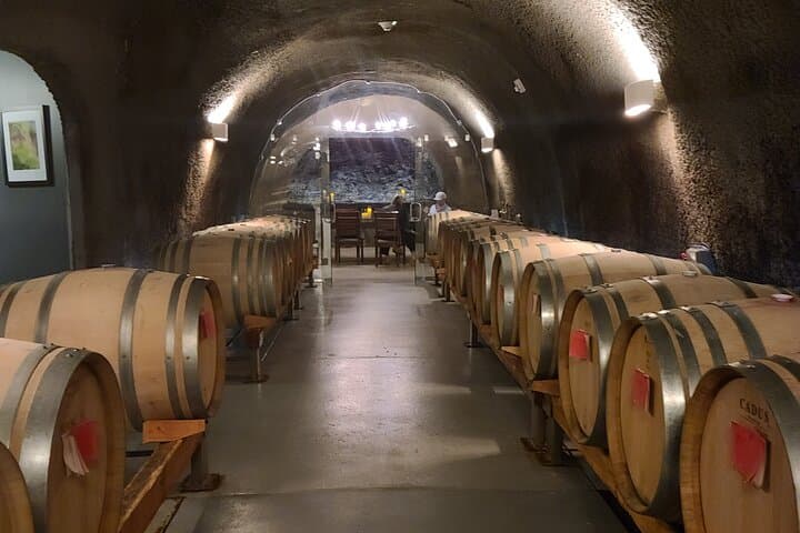 Private Willamette Valley Wine Tour: Custom Tastings & Vineyard Picnic photo 4