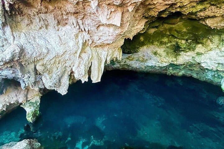 Kuza Cave to Stone Town: 5-Day Zanzibar Highlights — Jozani Monkeys & Salaam Cave Turtles photo 5