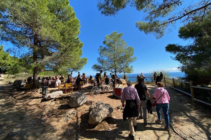 Montjuïc Panoramic Walking Tour: Olympic Hill Views & Poble Sec Tapas