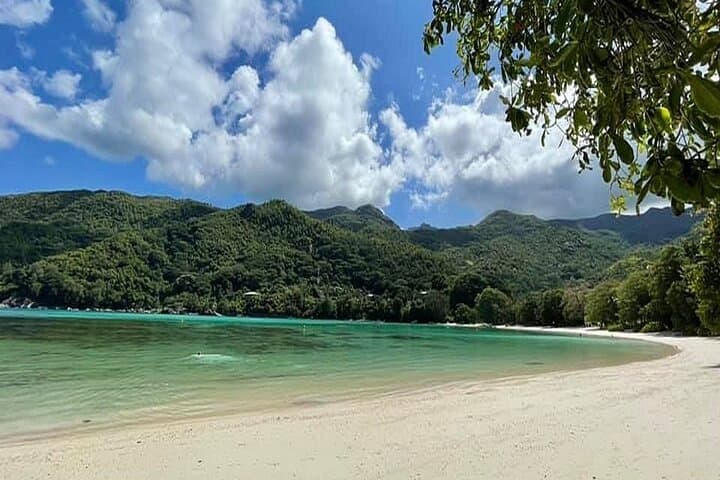 Private Mahe Half-Day Island Tour — Beaches, Waterfalls & Viewpoints photo 4