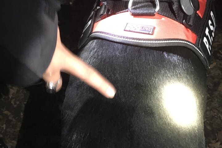 Devil's Hour Paranormal Investigation in Gettysburg — After Dark Ghost Tour photo 3