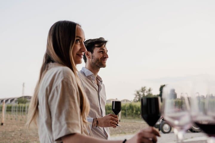 Three-Harvest Winery Tour and Interactive Wine Tasting in Veneto photo 6