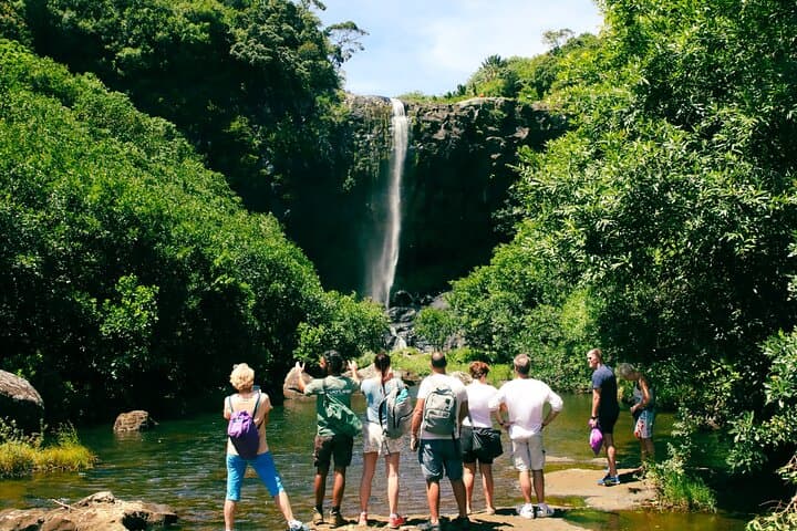 Hiking Tamarind Falls (Sept Cascades) — Half-Day Guided Hike in Mauritius photo 5