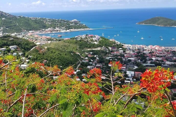 Skyline Drive Lookout and Beach Hopping — St. Thomas Scenic Viewpoint & Beach Tour photo 4